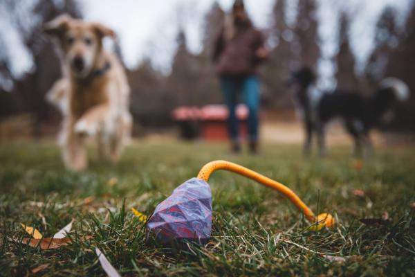 Ruffwear Huck-a-Cone Toy Purple Orchid Ruffwear Huck-a-Cone Toy Purple Orchid